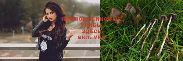 бутират Баксан
