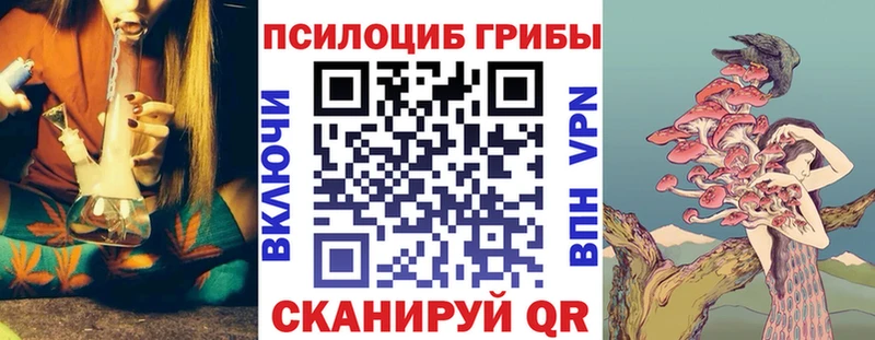 Псилоцибиновые грибы GOLDEN TEACHER где купить Суворов